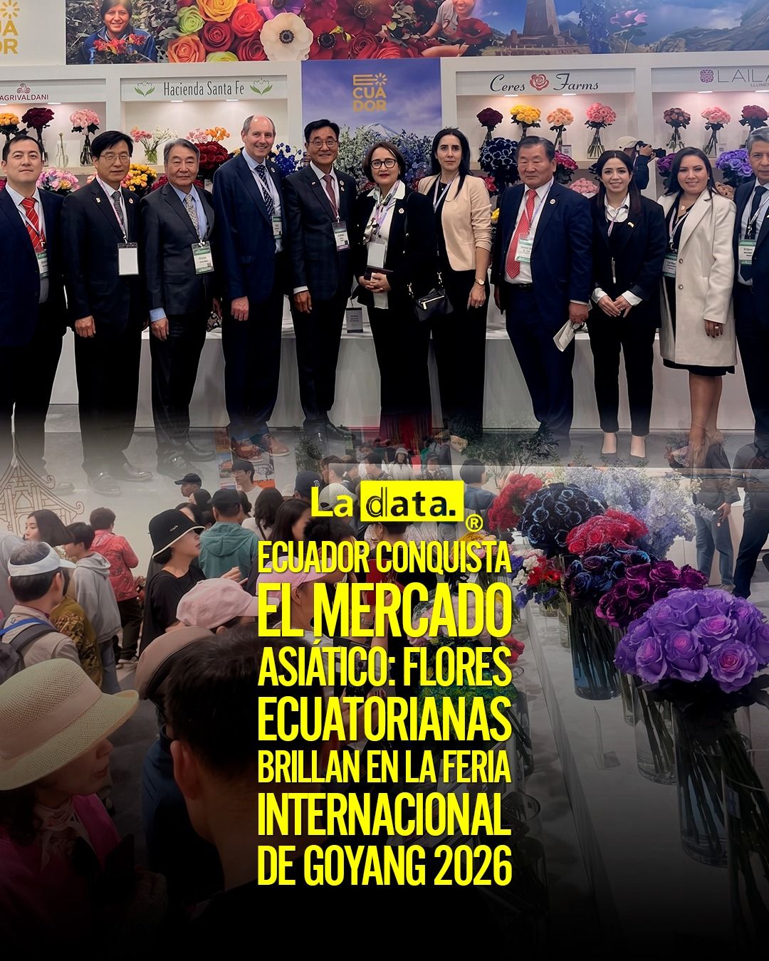 #ladata #TendenciaPolítica #Ecuador #Flores