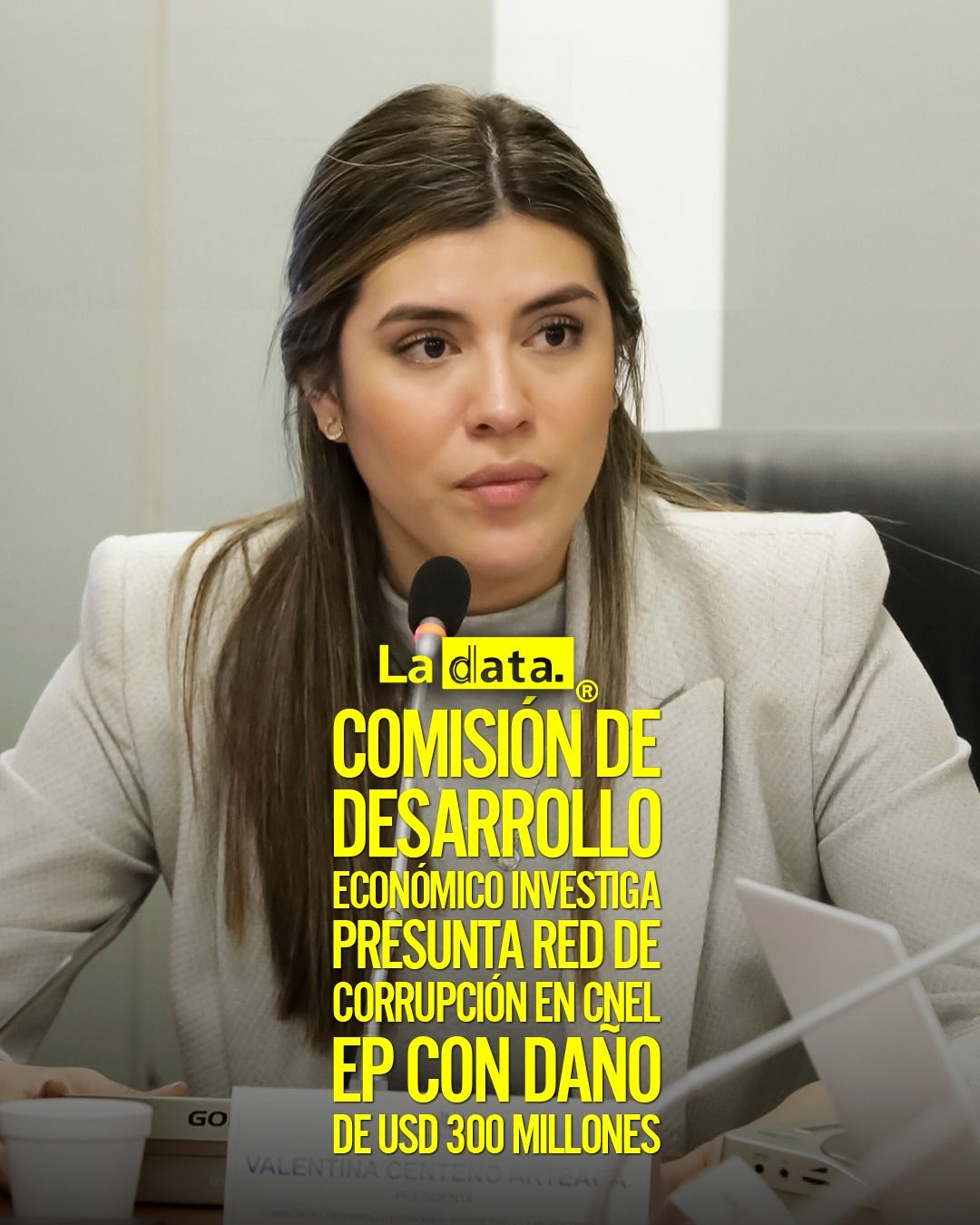 @ladataec👈 #LaData #TendenciaPolítica #CNEL #AsambleaNacional