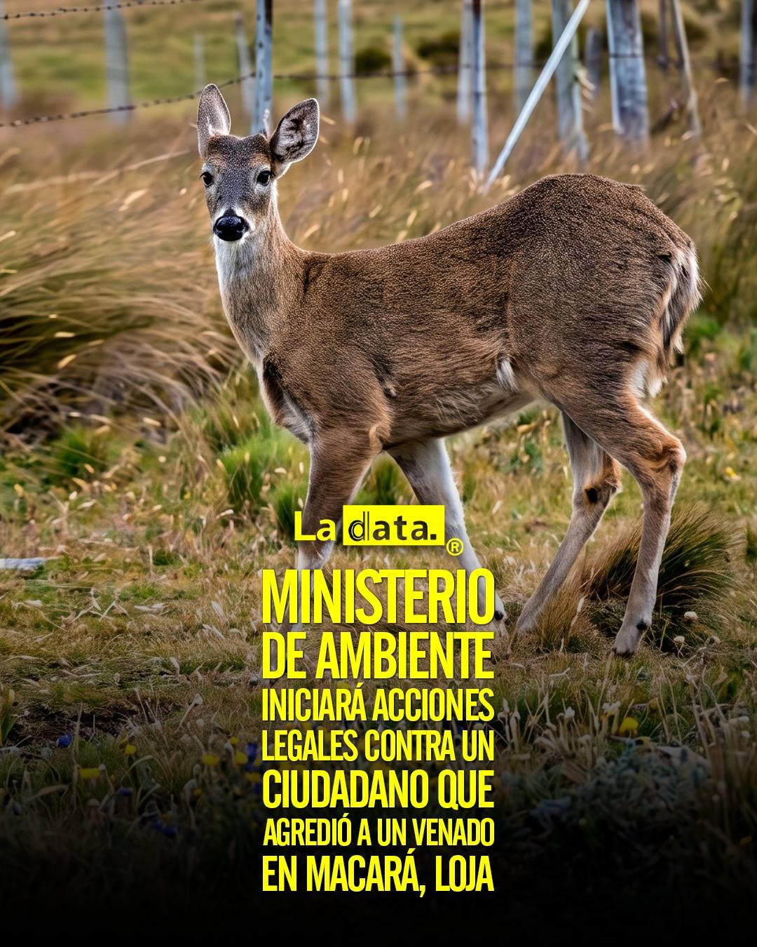 @ladataec  #ladata #TendenciaPolítica #MinisterioAmbiente #Fauna