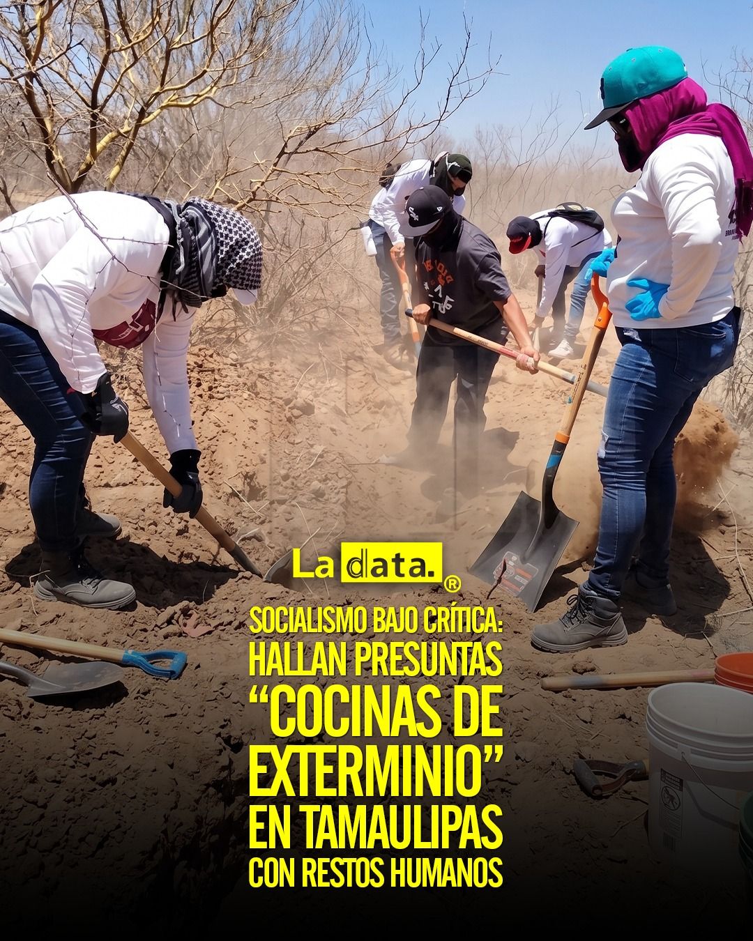 @ladataec👈  #ladata #TendenciaPolítica #Socialismo #México