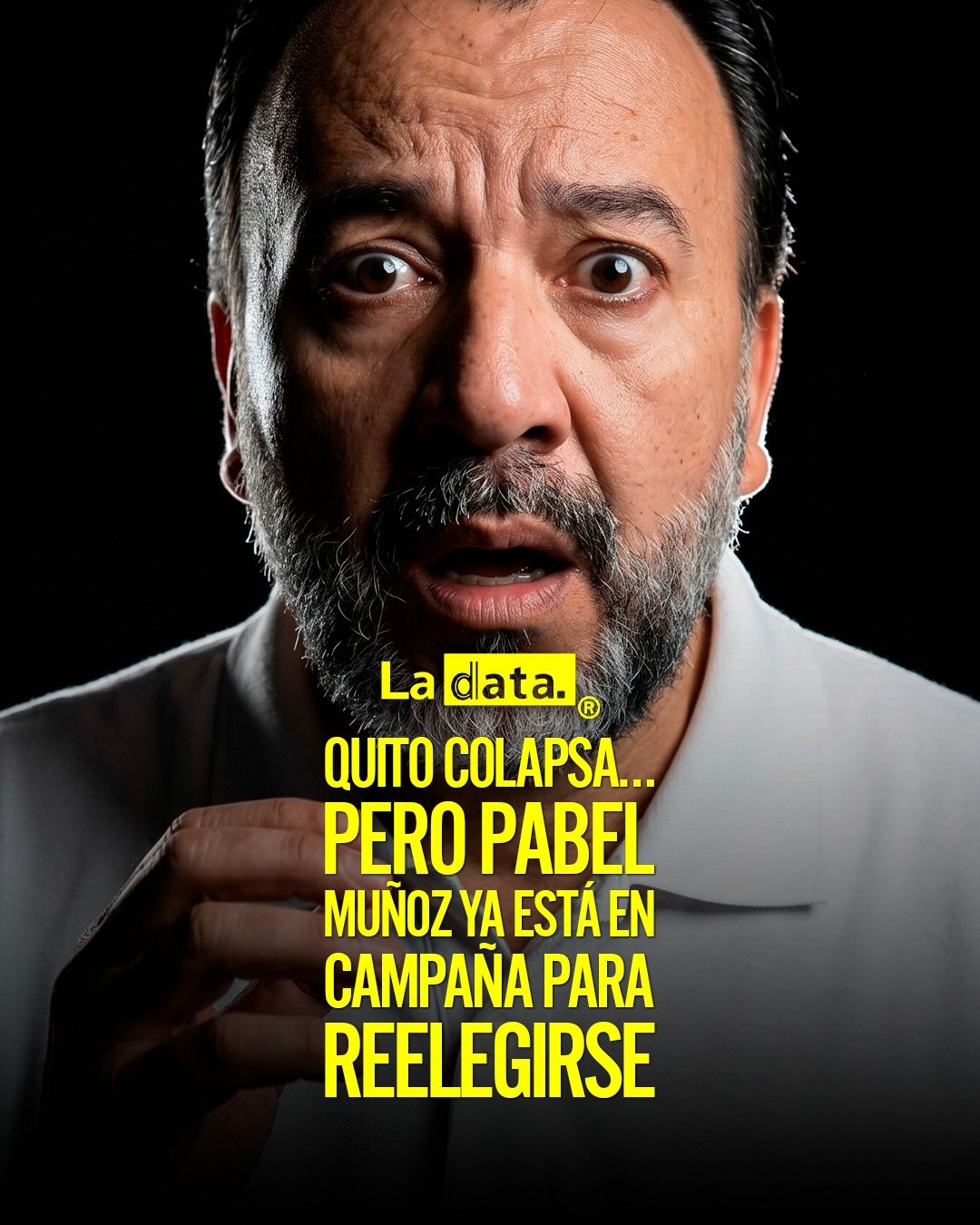 @ladataec 👈  #ladata #TendenciaPolítica #PabelMuñoz #Quito