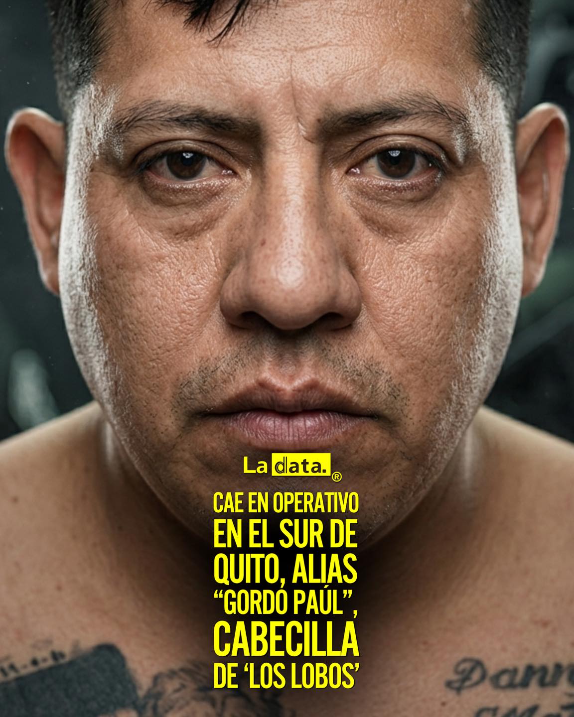 La Data #ladata #TendenciaPolítica #loslobos #gordopaul