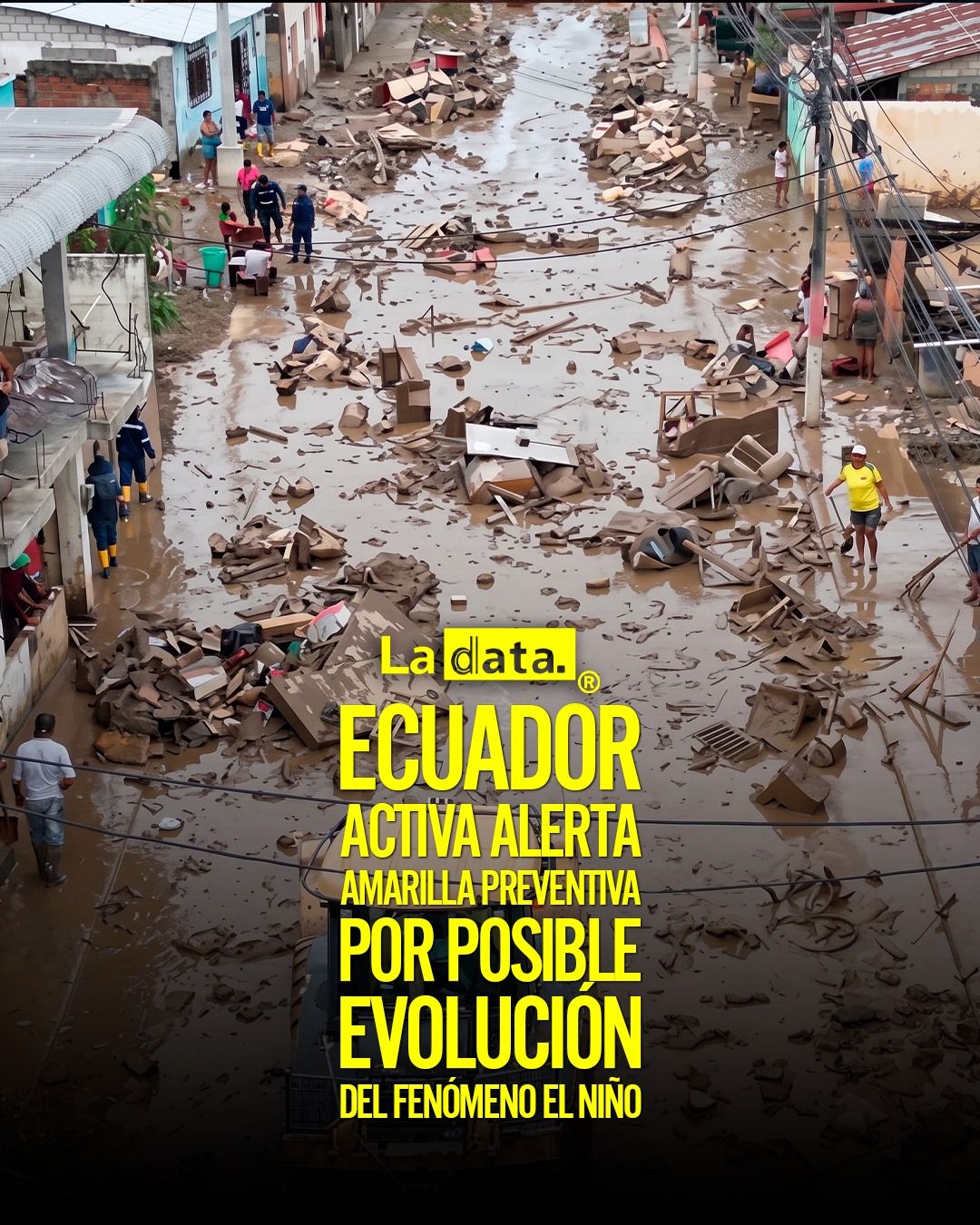 @ladataec👈  #ladata #TendenciaPolítica #Ecuador #AlertaAmarilla