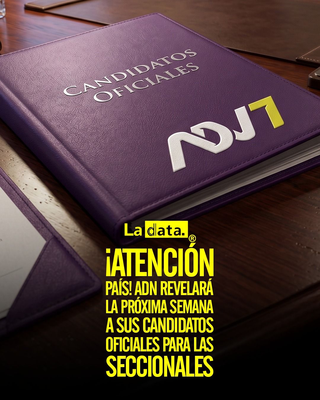 ¡Atención país! ADN revelará la próxima semana a sus candidatos oficiales para las seccionales