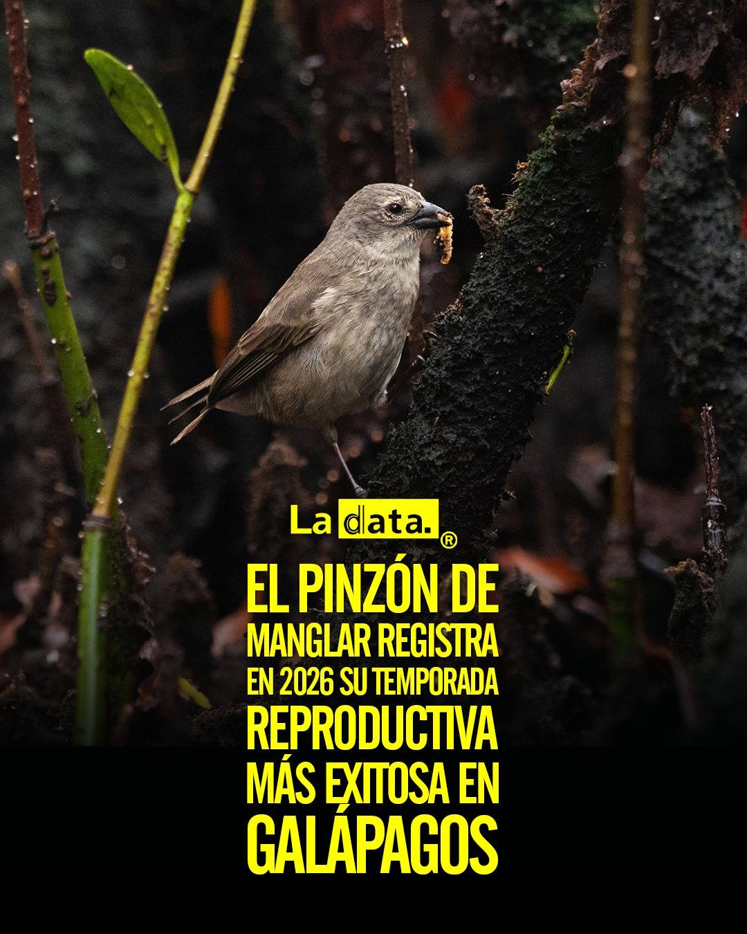 @ladataec  #ladata #TendenciaPolítica #Galápagos #MinisterioDeAmbiente