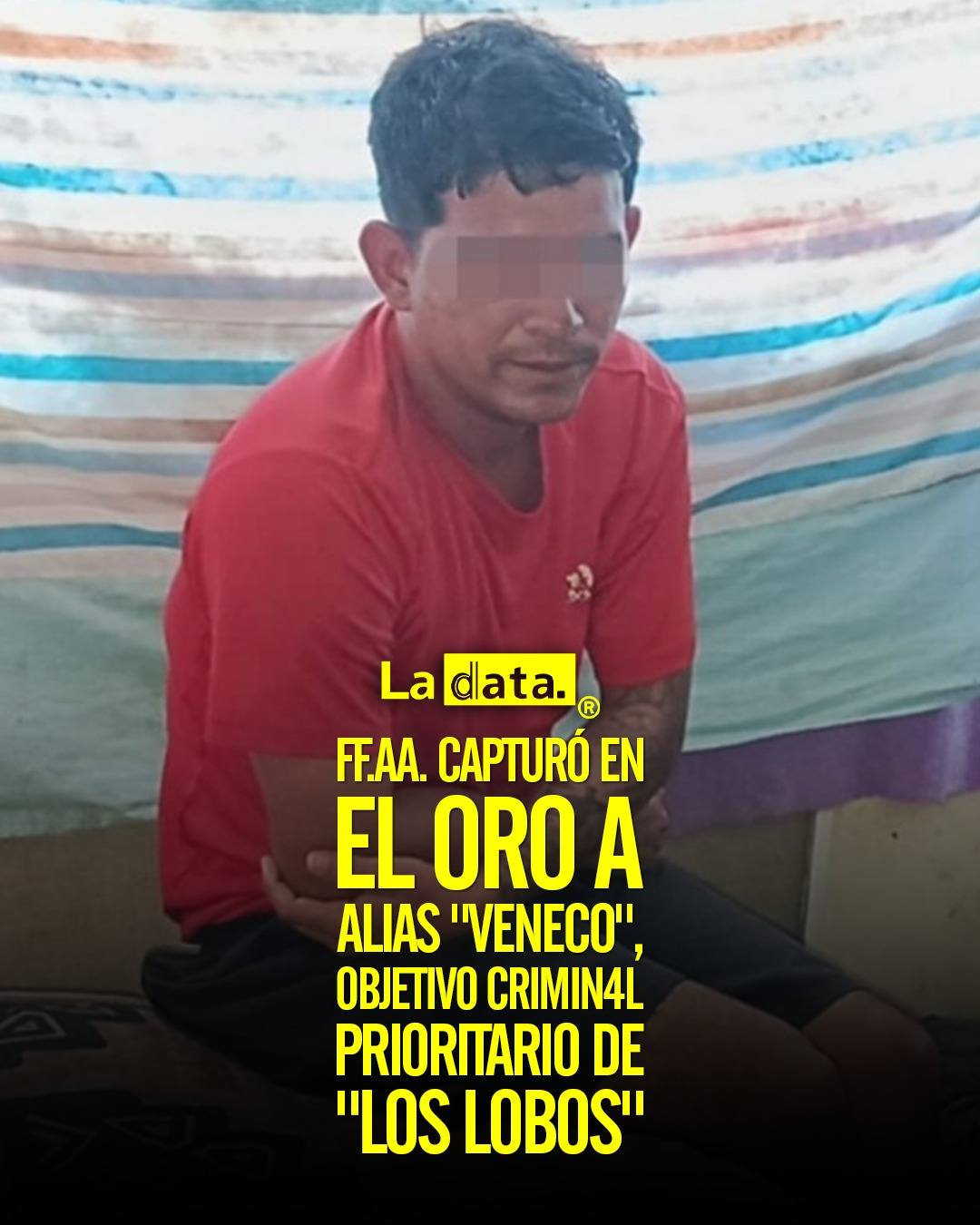 @ladataec  #ladata #TendenciaPolítica #FuerzasArmadas #ElOro