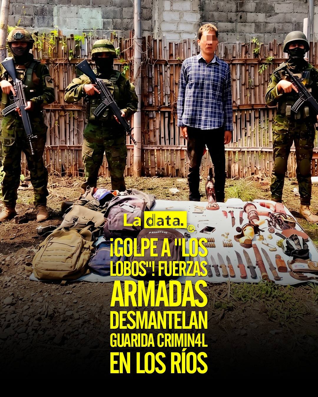 ¡Golpe a "Los Lobos"! Fuerzas Armadas desmantelan guarida crimin4l en Los Ríos.