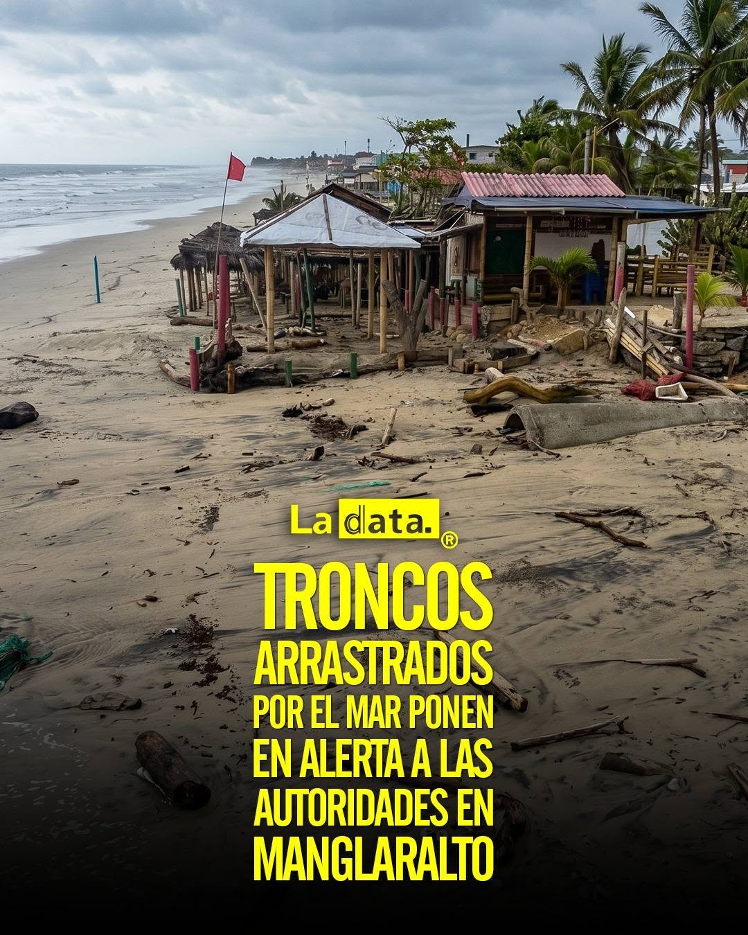 @ladataec👈 #ladata #TendenciaPolítica #GestiónDeRiesgos #Manglaralto