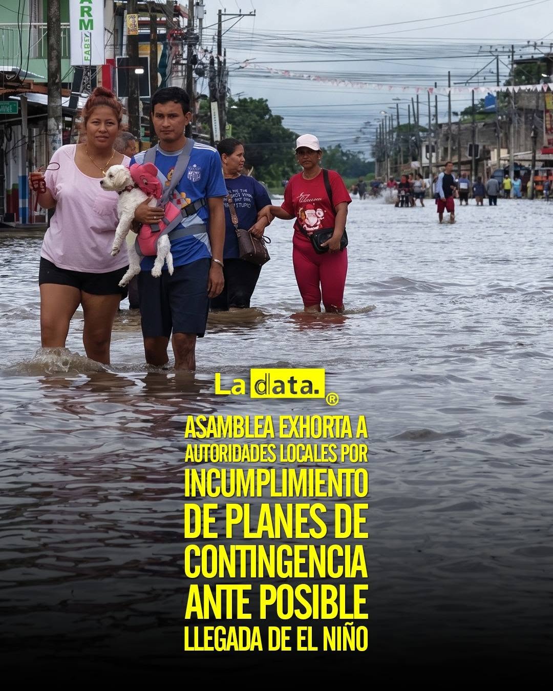 @ladataec👈 #ladata #TendenciaPolítica #FenómenoDeElNiño #Ecuador