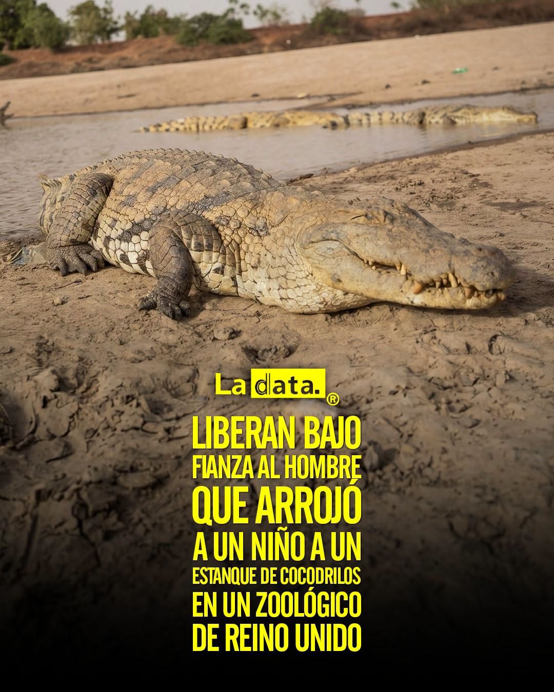 @ladataec #ladata #TendenciaPolítica #ReinoUnido #Justicia