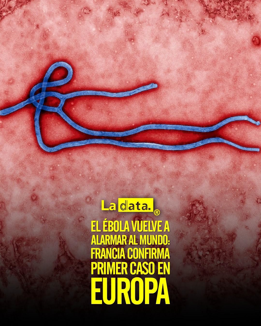 @ladataec👈 #ladata #TendenciaPolítica #Ebola #Francia