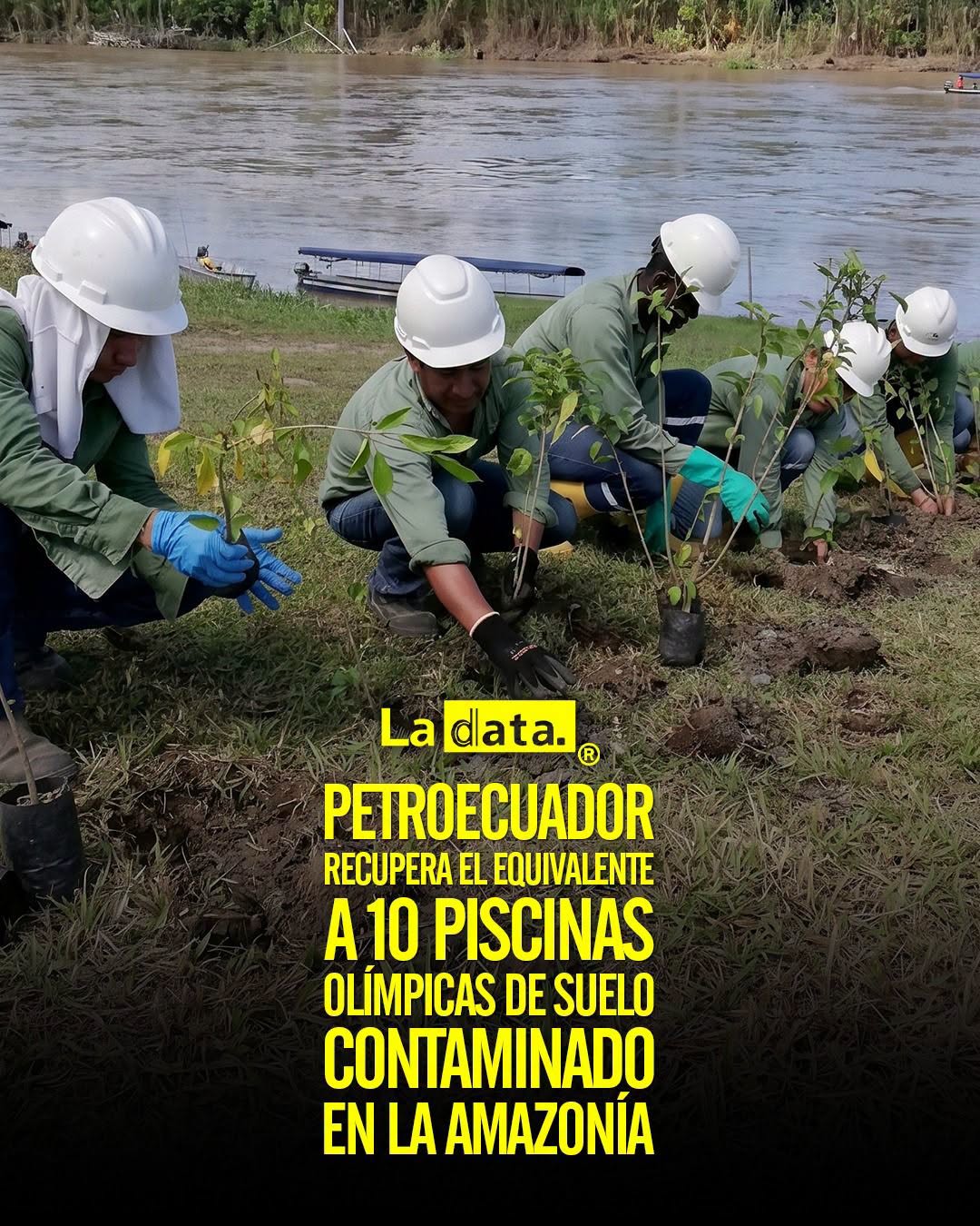 @ladataec👈 #LaData #TendenciaPolítica #Petroecuador #Recuperación