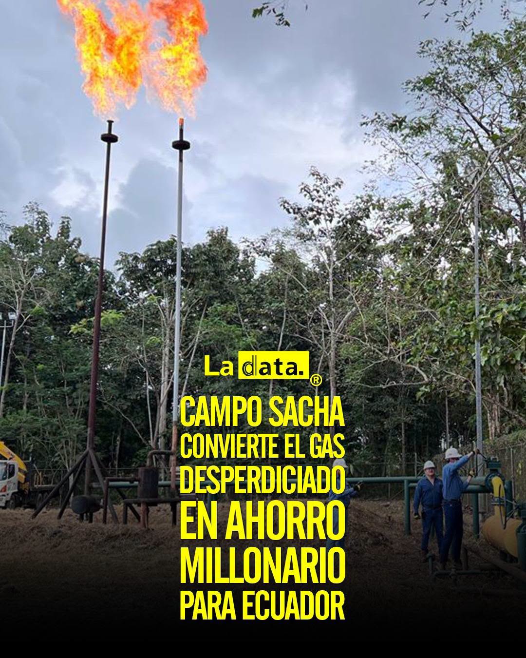 @ladataec👈 #ladata #TendenciaPolítica #CampoSacha #Petroecuador