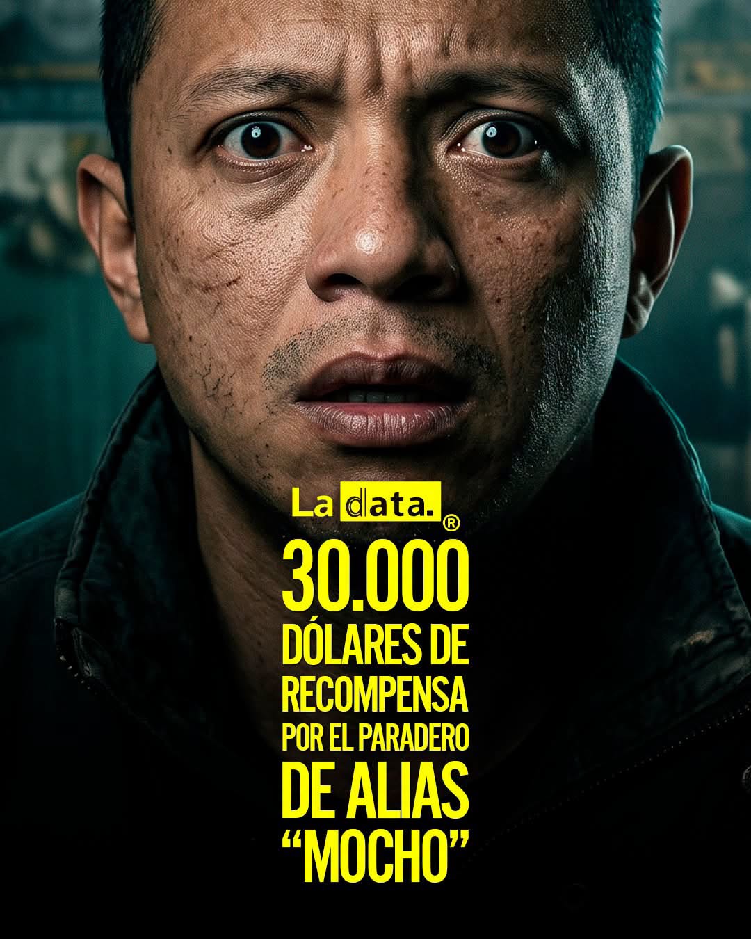 @ladataec👈 #ladata #TendenciaPolítica  #Seguridad #Ecuador