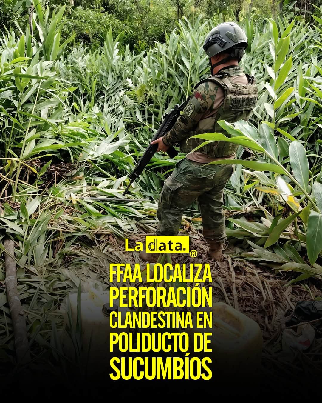 @ladataec👈 #LaData #TendenciaPolítica #Sucumbios #FFAA