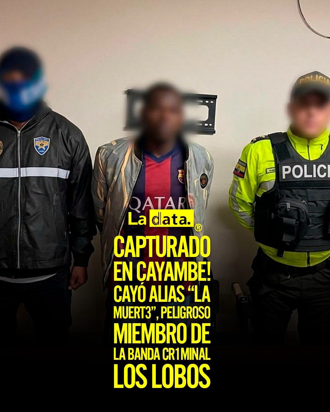 @ladataec👈 #ladata #TendenciaPolítica  #Cayambe #LosLobos