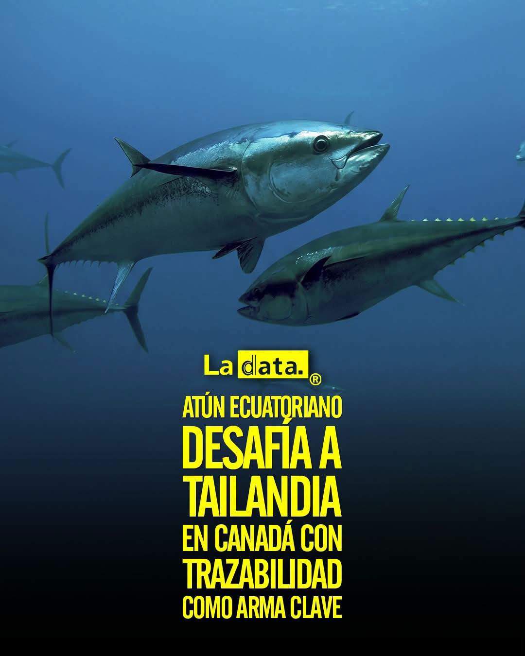 @ladataec👈 #LaData #TendenciaPolitica #Atún #Ecuador