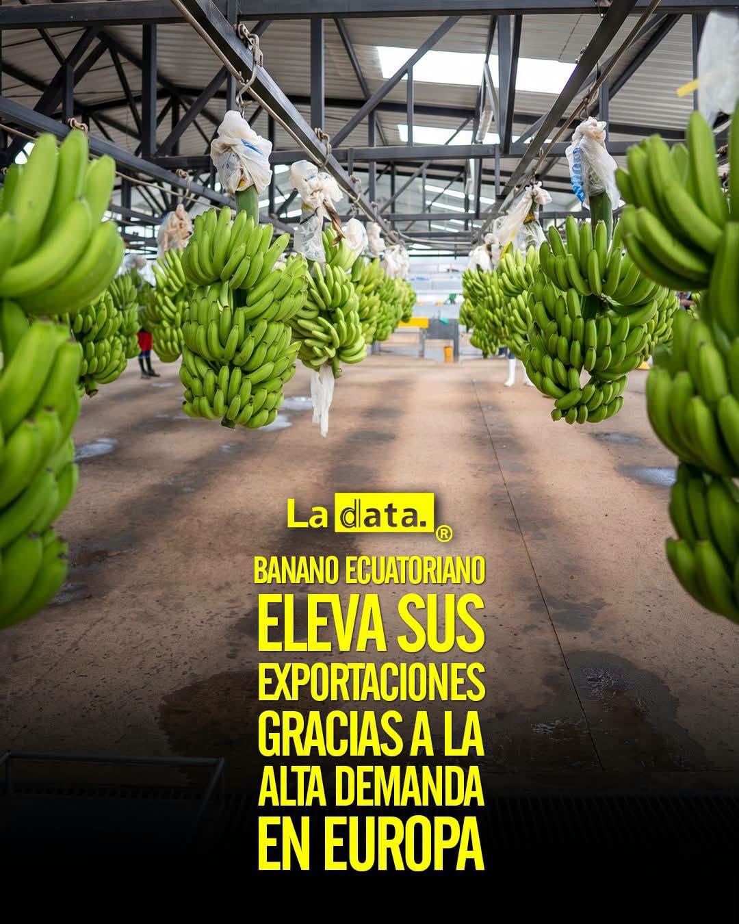 @ladataec 👈 ‎ ‎#ladata #TendenciaPolítica #ExportaciónBanano #UniónEuropea