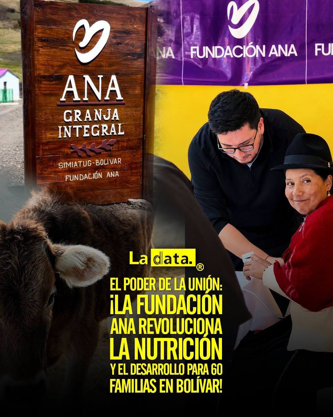 @ladataec 👈 #ladataec #tendenciapolitica #fundacionana