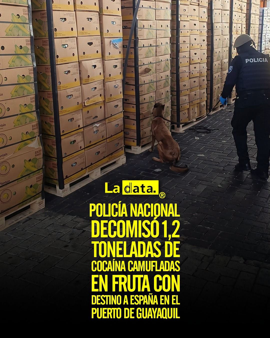@ladataec 👈 ‎ ‎#ladata #TendenciaPolítica #PolicíaNacional #Guayaquil