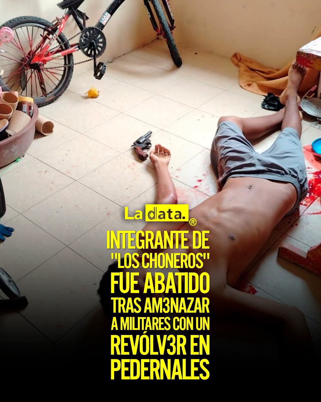 @ladataec 👈 ‎ ‎#ladata #TendenciaPolítica #FuerzasArmadas #Pedernales