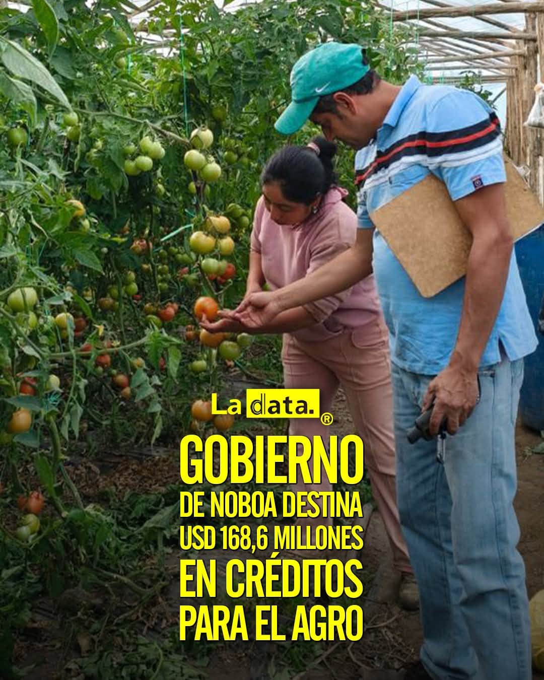 @ladataec👈 #LaData #TendenciaPolitica #Credito #Agro
