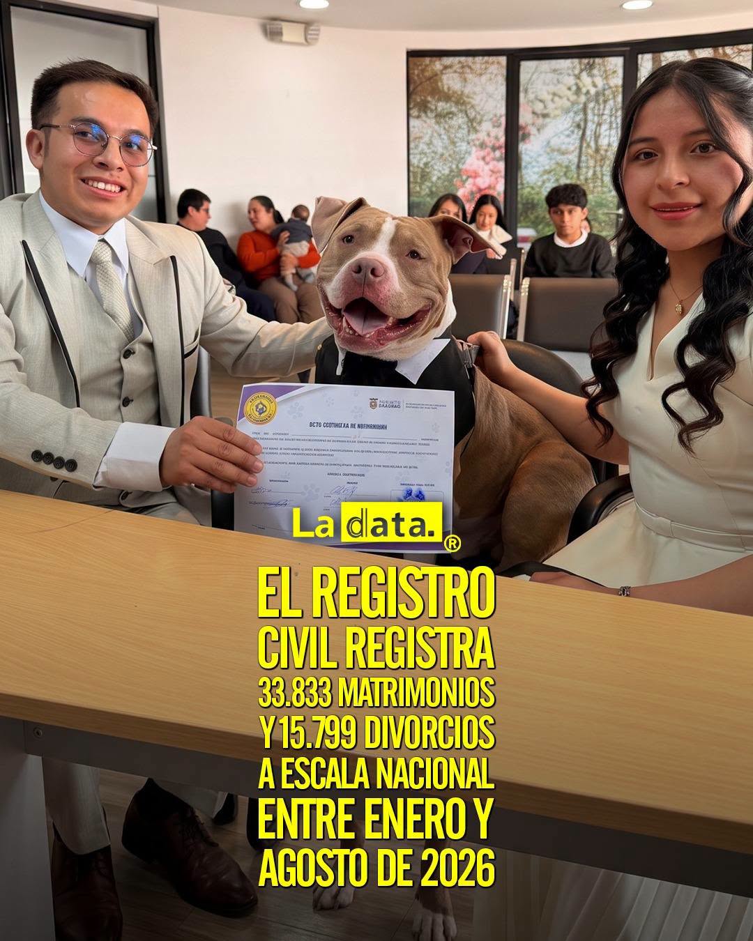 @ladataec 👈 ‎ ‎#ladata #TendenciaPolítica #RegistroCivil #Matrimonios