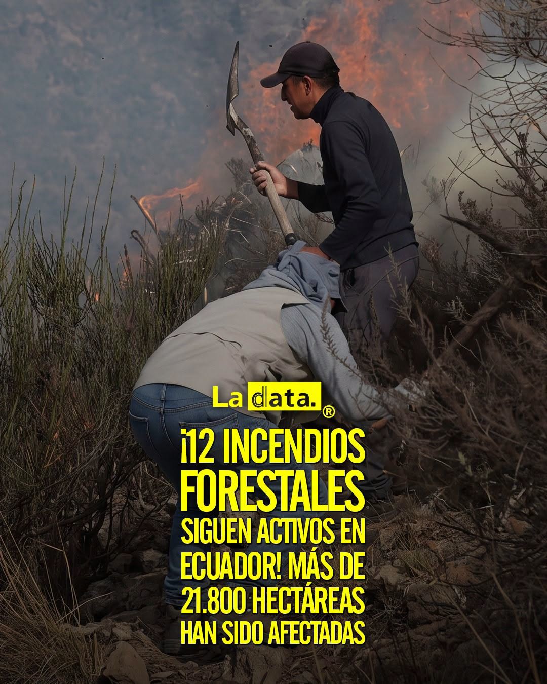 @ladataec👈 #LaData #TendenciaPolítica  #Ecuador #IncendiosForestales